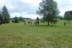img(299)