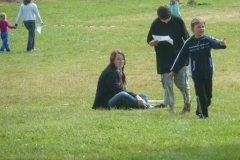 img(308)