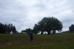 img(318)