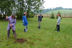 img(375)