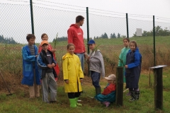 img(385)