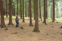 img(407)