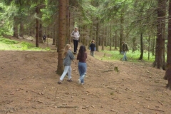 img(410)