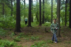 img(412)