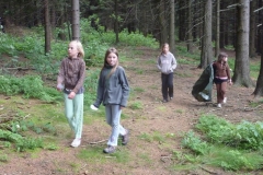 img(419)
