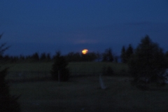 img(42)