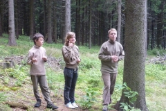 img(420)