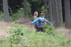 img(425)