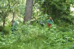 img(427)