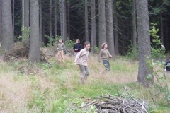 img(430)