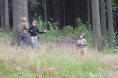 img(432)