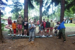 img(436)