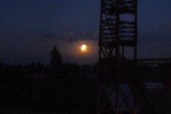 img(44)