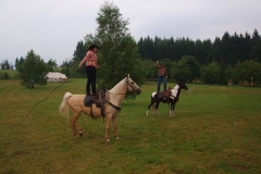 img(442)