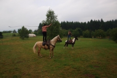 img(443)