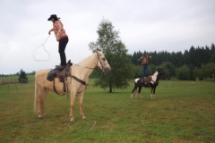 img(449)