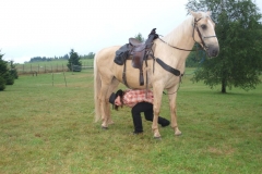img(450)