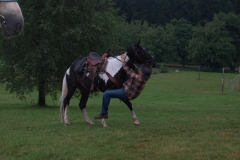 img(455)