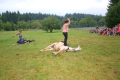 img(465)