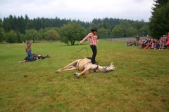 img(466)