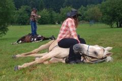img(470)