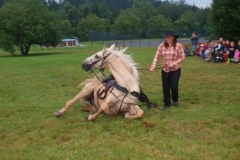 img(474)