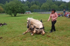img(475)