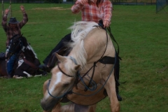 img(479)