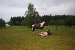 img(490)