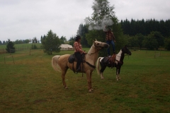 img(496)