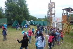 img(499)