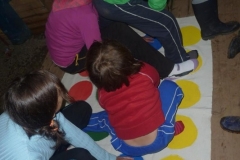 img(524)