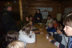 img(527)