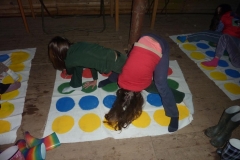 img(528)