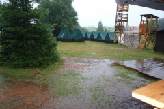 img(550)