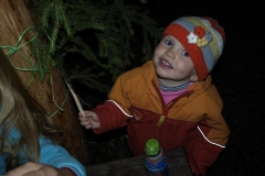 img(591)