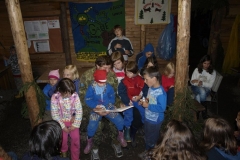 img(599)