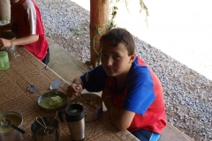 img(630)
