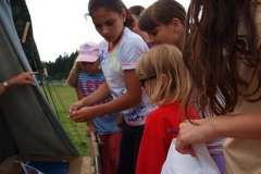 img(646)