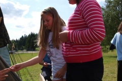 img(653)