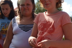 img(672)