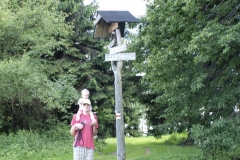 img(679)