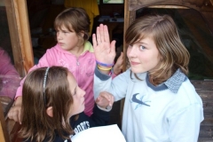 img(701)