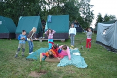 img(716)