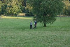 img(719)