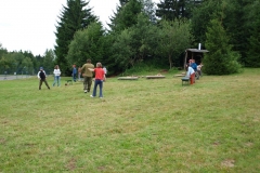 img(736)