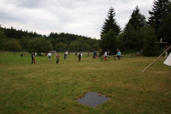img(737)