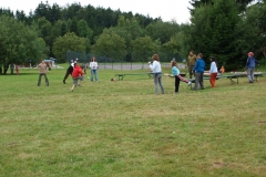 img(740)