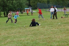 img(741)