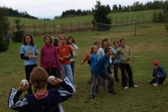 img(766)